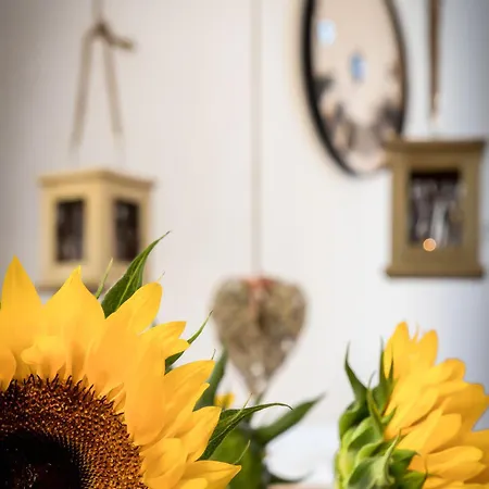 Cracow Location By Cozyplace شقة كراكوفيا