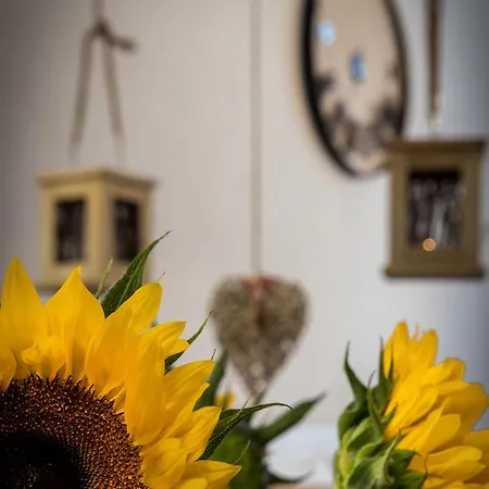 Cracow Location By Cozyplace Appartamento Cracovia